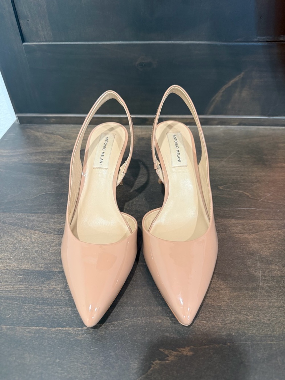 ANTONIO MELANI Blush Patent Leather Pointed Slingback Pumps